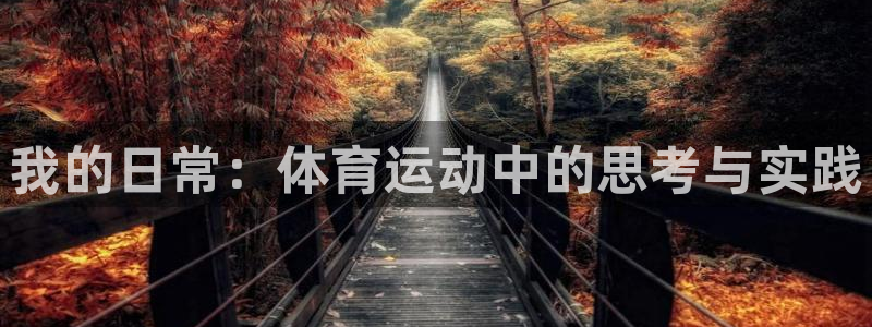 k球体育直播：我的日常：体育运动中的思考与实践