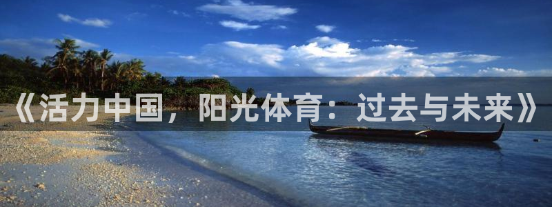k球体育直播app下载安装：《活力中国，阳光体育：过去与未来》