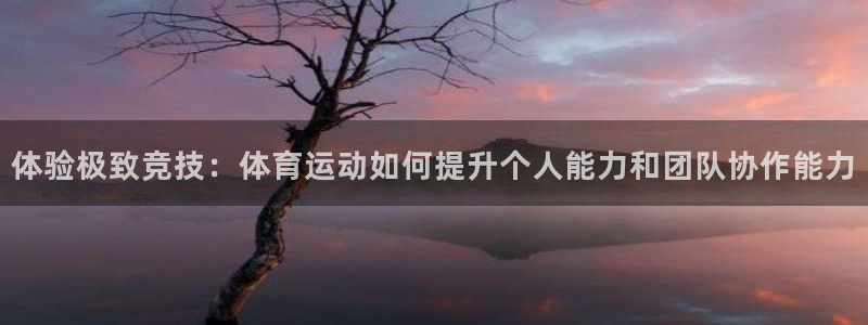 K球体育直播在线：体验极致竞技：体育运动如何提升个人能力和团队协作能力